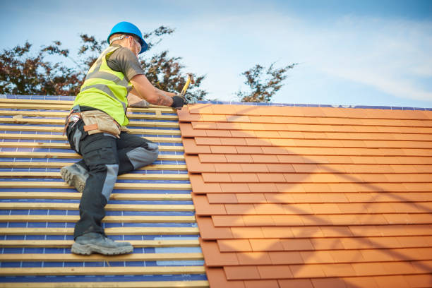 Best Roof Insulation Installation  in Ardmore, PA